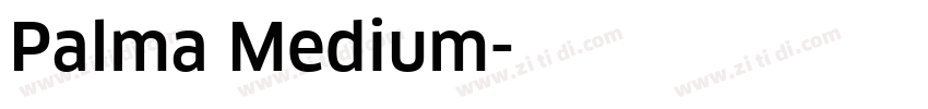 Palma Medium字体转换